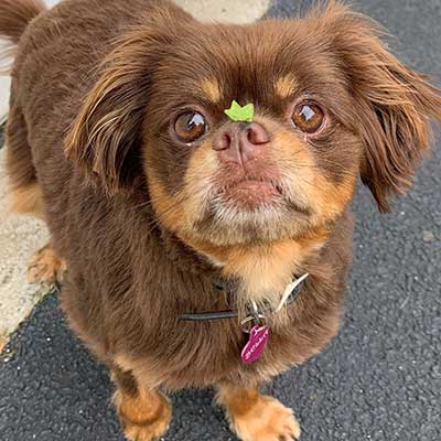 Bella