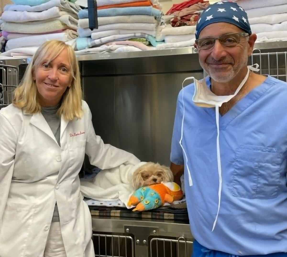 Doctors Karin Sorenmo and Mark Cofone of Lesley's Place