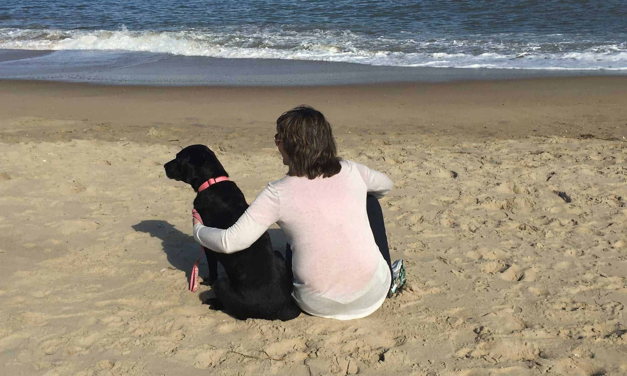 Making a difference for homeless dogs, mammary tumors, and research
